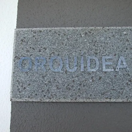 Paraiso Flores Hébergement de vacances Estreito Da Calheta