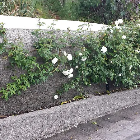 Paraiso Flores Σπίτι διακοπών *