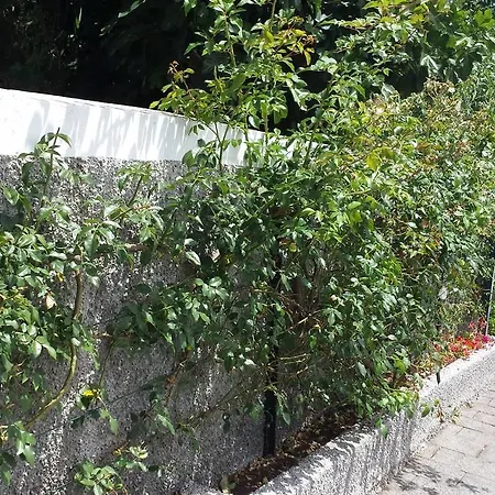 Σπίτι διακοπών Paraiso Flores