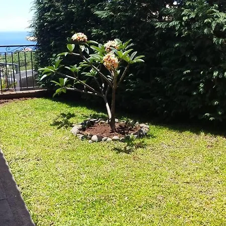 Paraiso Flores Estreito Da Calheta