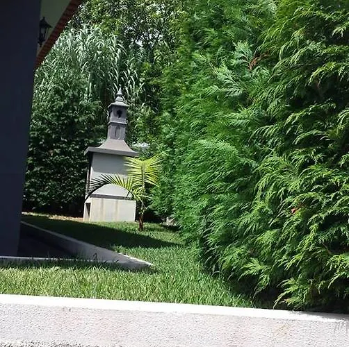 Paraiso Flores Estreito Da Calheta