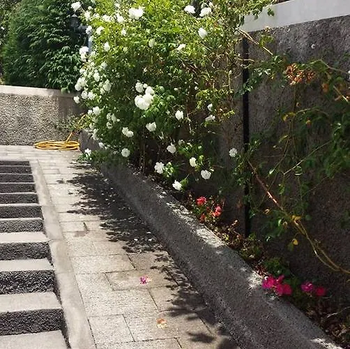 Paraiso Flores Estreito Da Calheta