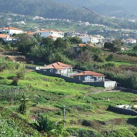 Paraiso Flores *