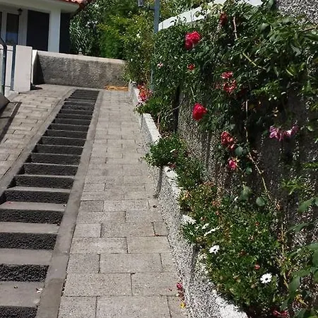 Paraiso Flores Feriehus Estreito Da Calheta