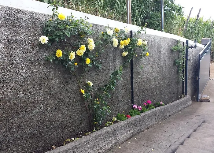 Paraiso Flores * Estreito Da Calheta