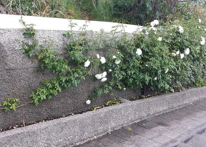 Paraiso Flores Holiday home *