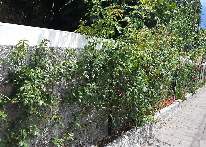 Holiday home Paraiso Flores